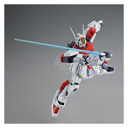 MG F80 Gunraid - ShokuninGunpla