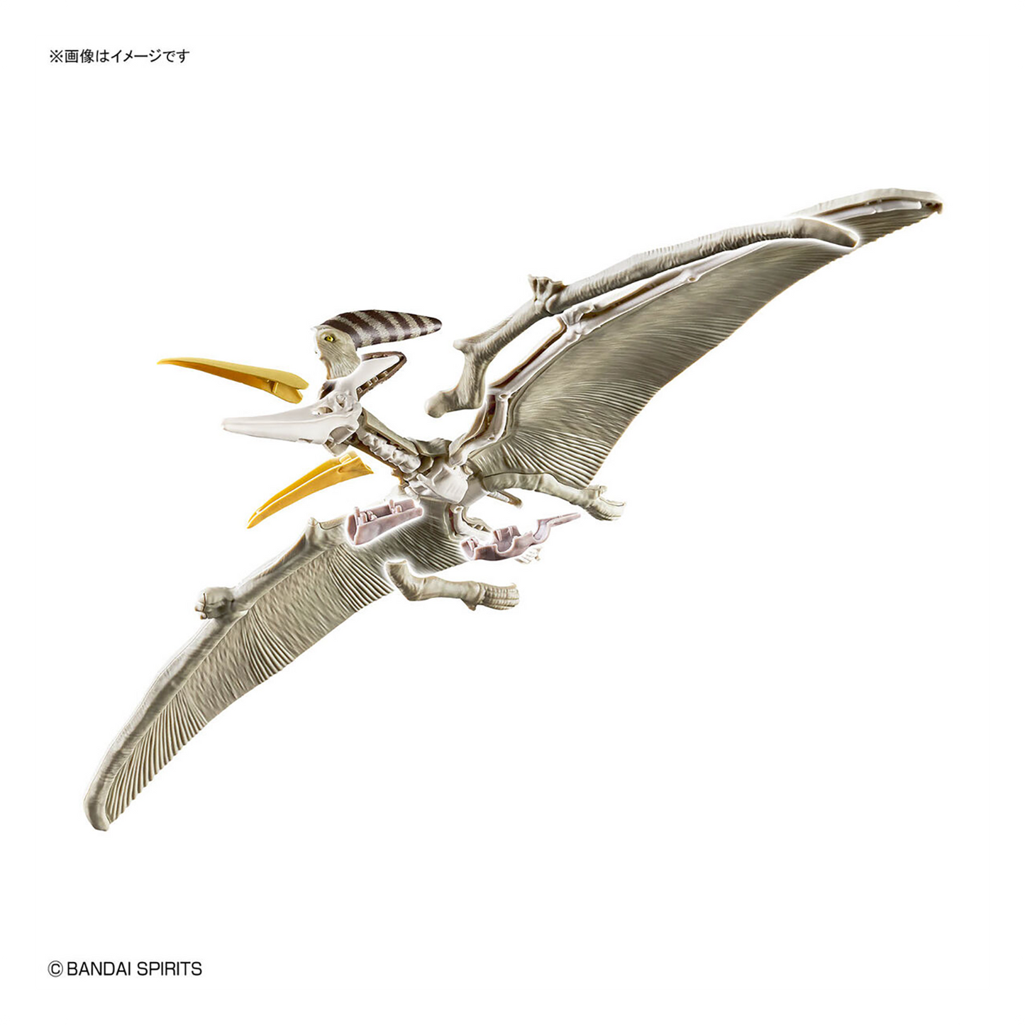 Bandai - Plannosaurus Pteranodon - ShokuninGunpla