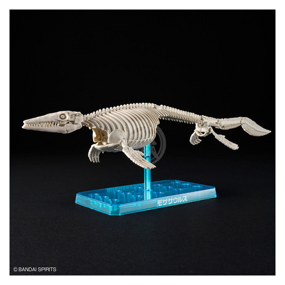 Bandai - Plannosaurus Mosasaurus - ShokuninGunpla