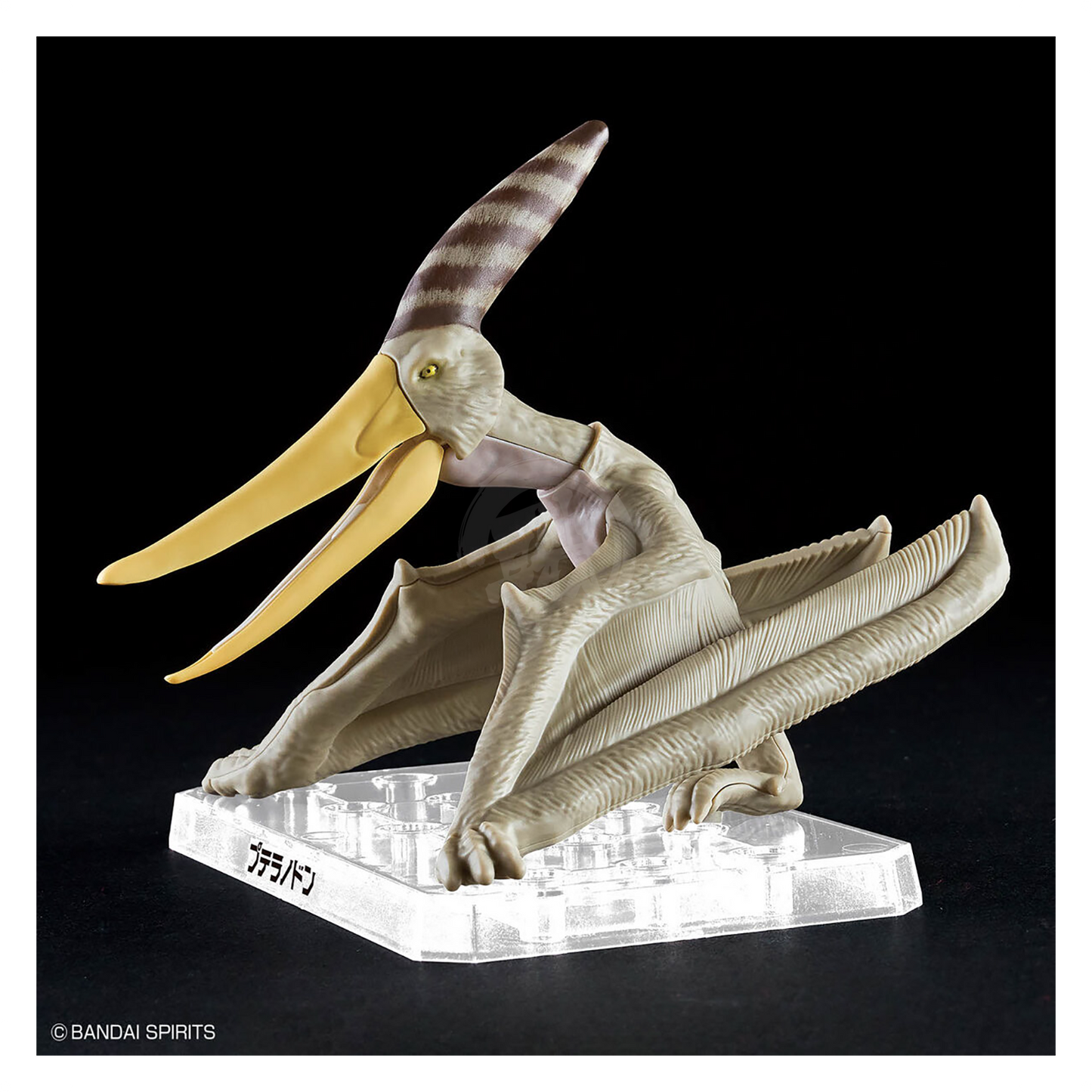 Bandai - Plannosaurus Pteranodon - ShokuninGunpla