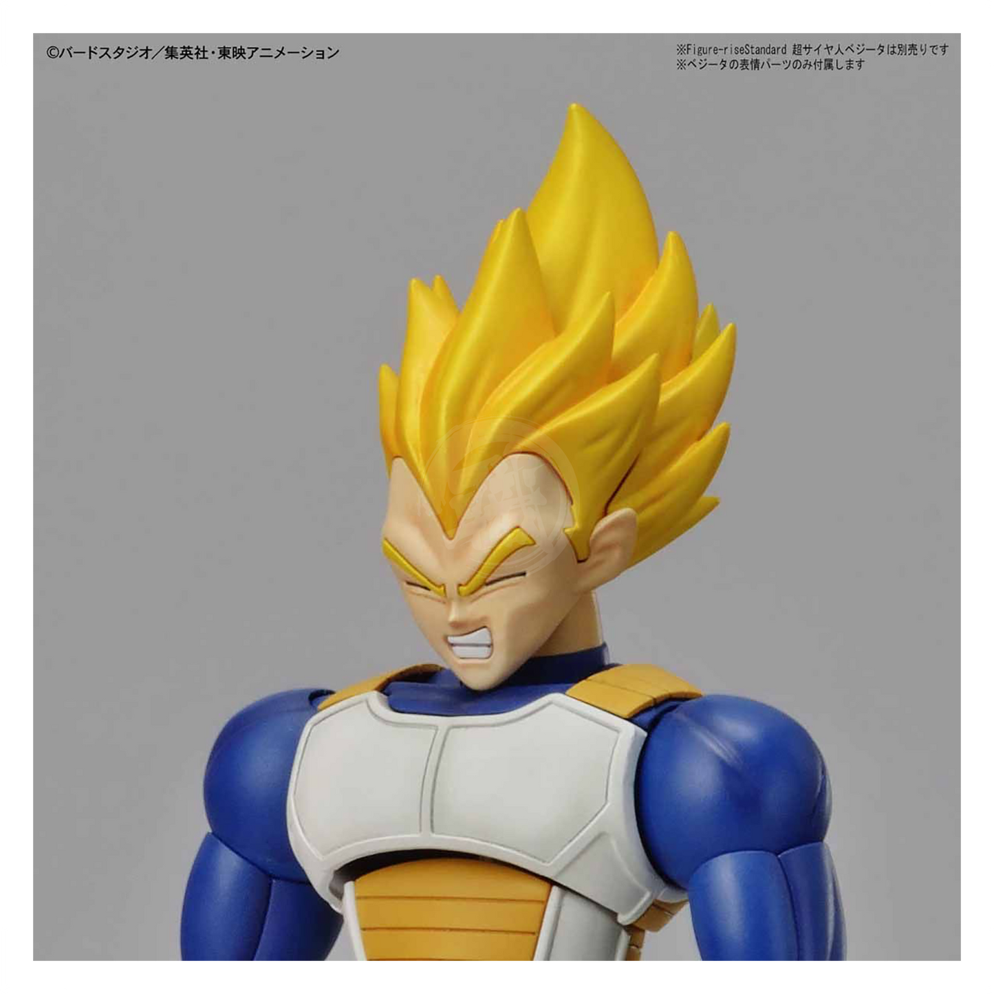 Figure-Rise Standard Legendary Super Saiyan Broly