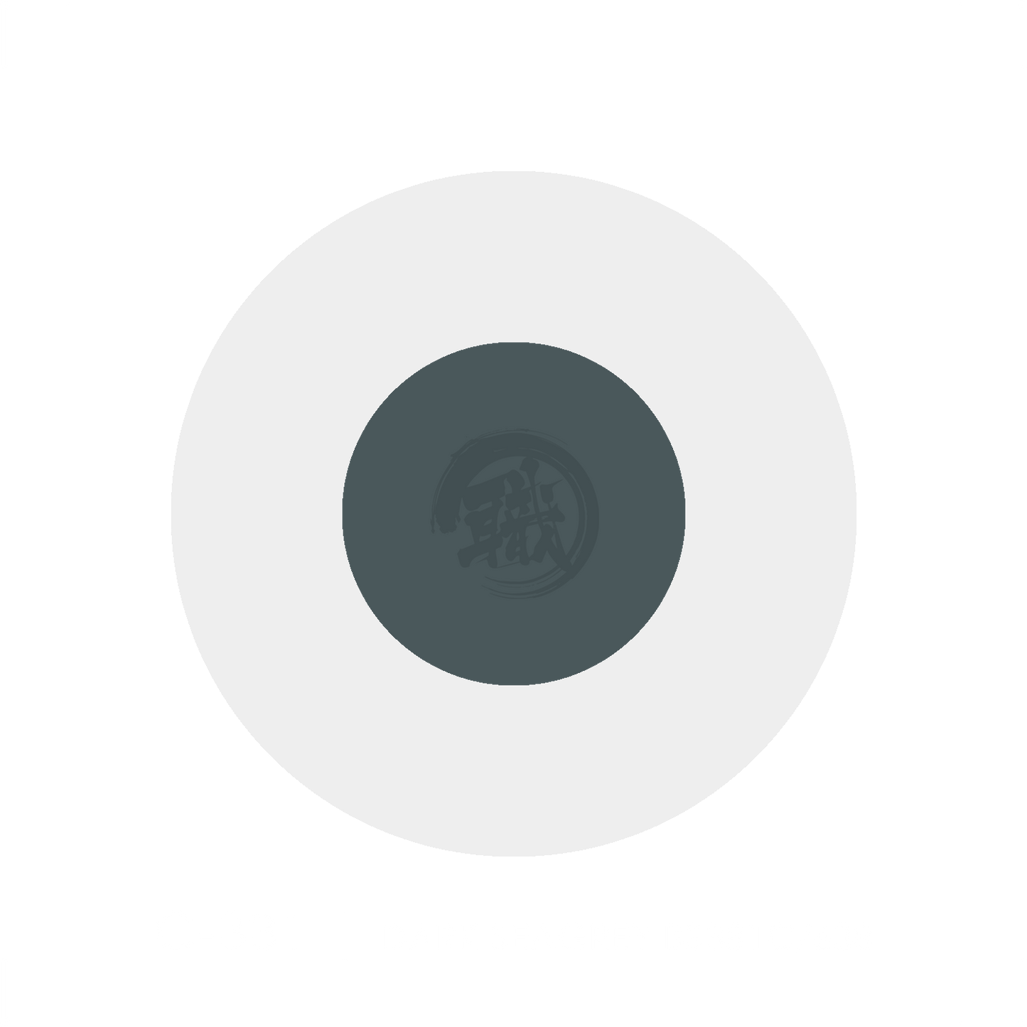 Dark Seagrey BS381C/638 GSI Creos paint swatch showing a deep, muted seagrey color on a smooth surface.
