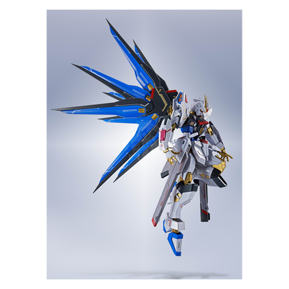 Metal Robot Spirits Strike Freedom Gundam Type II [Preorder Jun 2025] - ShokuninGunpla