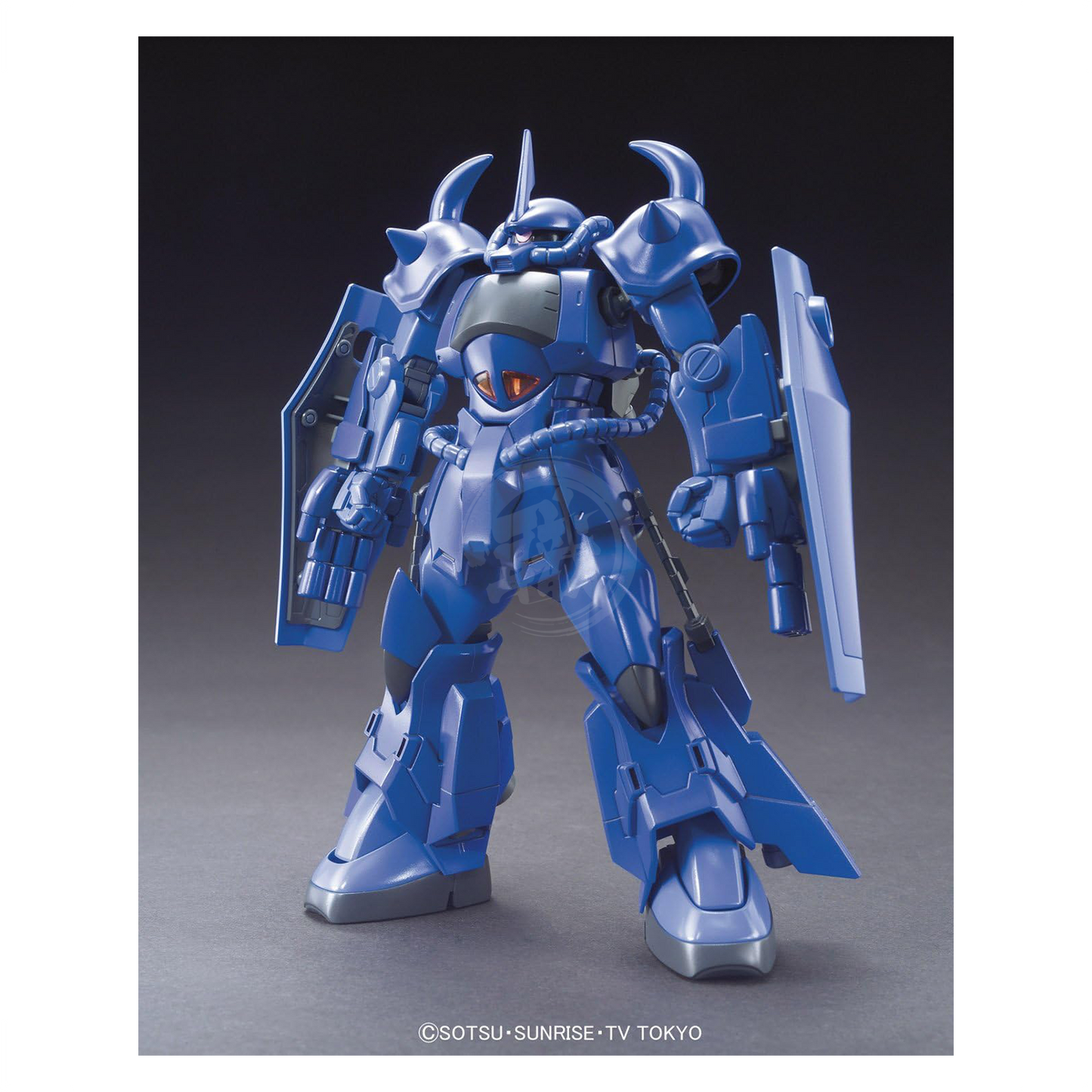 HG Gouf R35