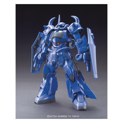 HG Gouf R35