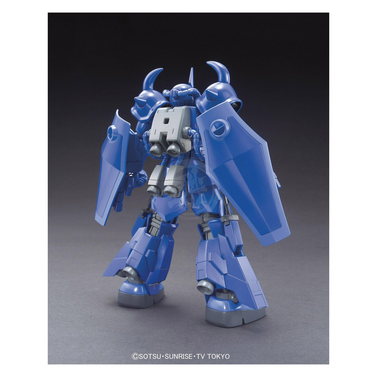 HG Gouf R35