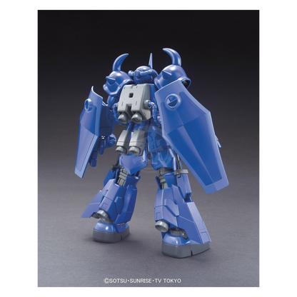 HG Gouf R35