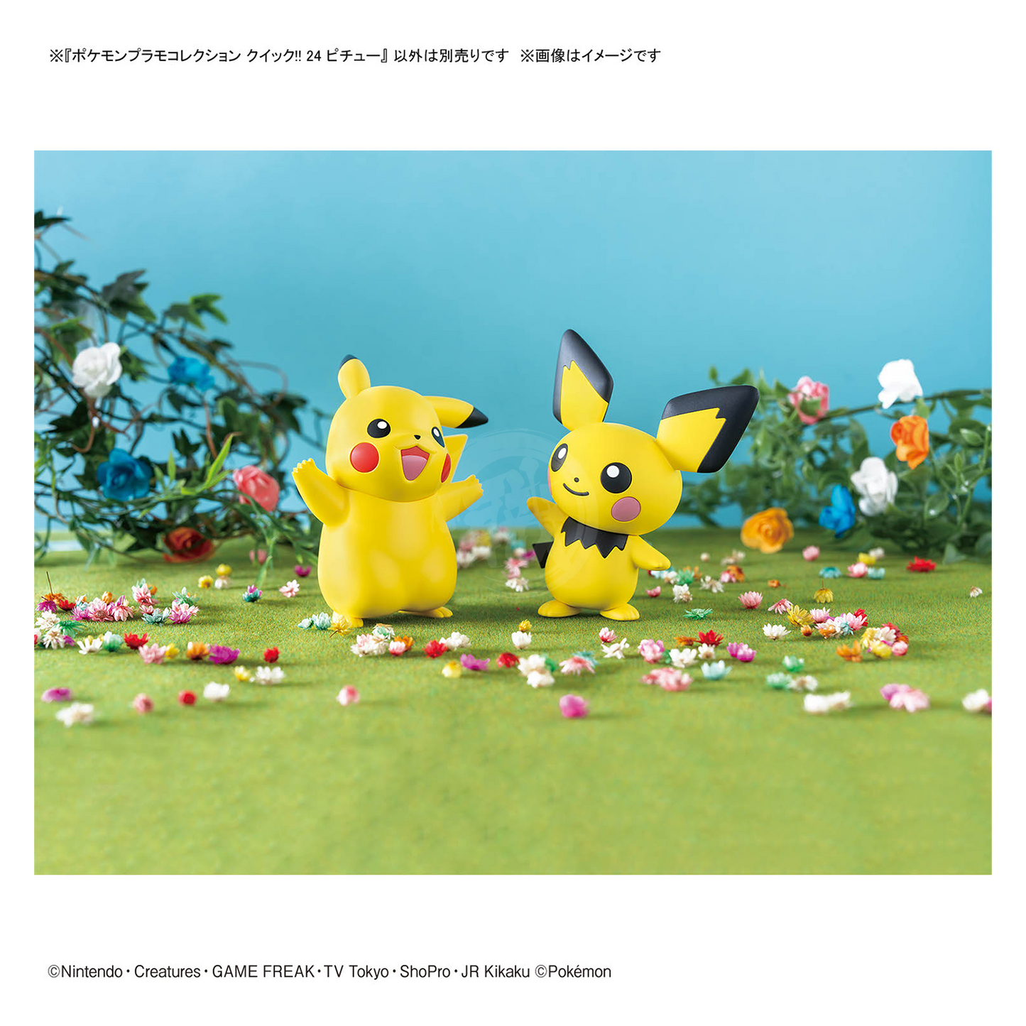 [Pokepla Quick 24] Pichu