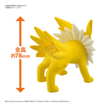 [Pokepla Quick 26] Jolteon