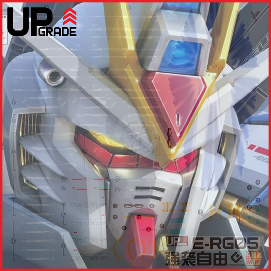 RG Strike Freedom Gundam Waterslide Decals [UV]