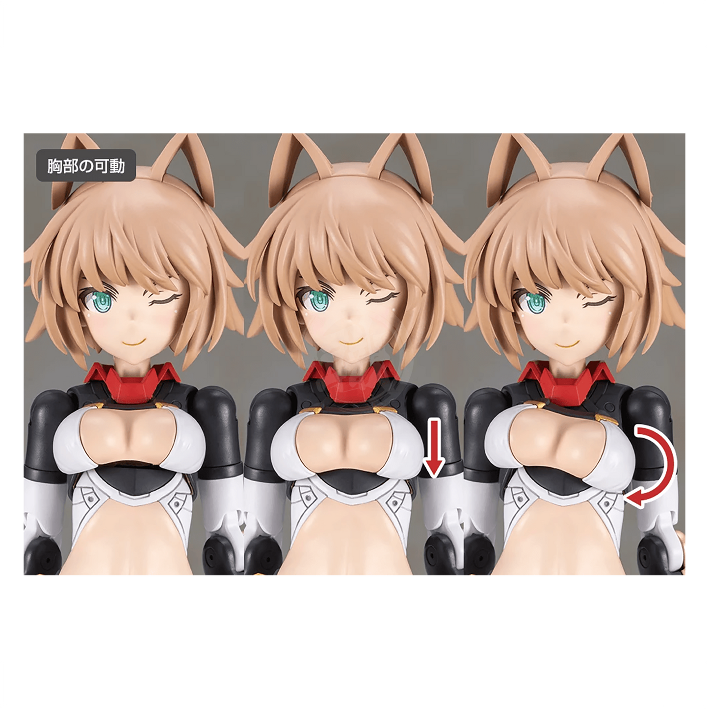 [Frame Arms Girl] Shingen Kai