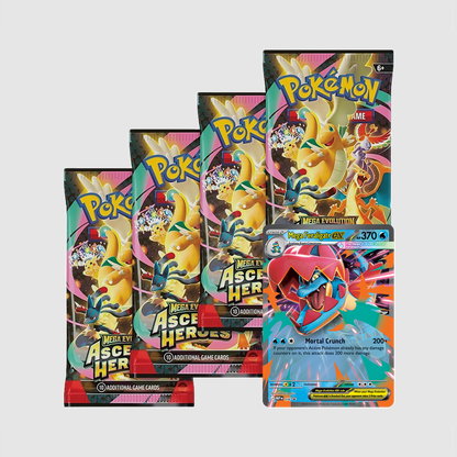 Pokemon TCG Mega Feraligatr ex box featuring artwork of Mega Feraligatr ex card from the Ascended Heroes set.
