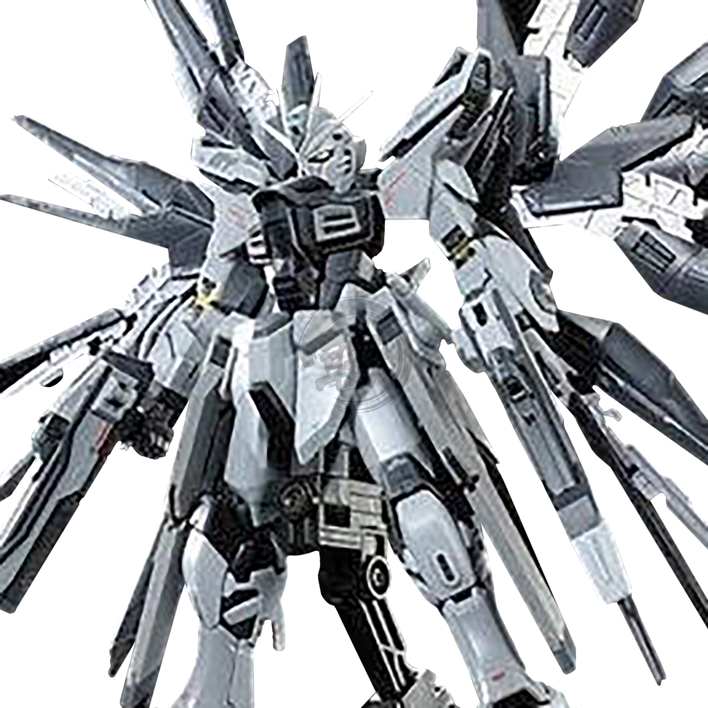 Premium Bandai 1/144 Scale Real Grade Strike Freedom Gundam Premium Bandai 1/144 Scale Real Grade Strike Freedom Gundam