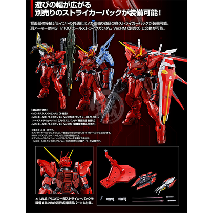 Bandai - MG Testament Gundam - ShokuninGunpla