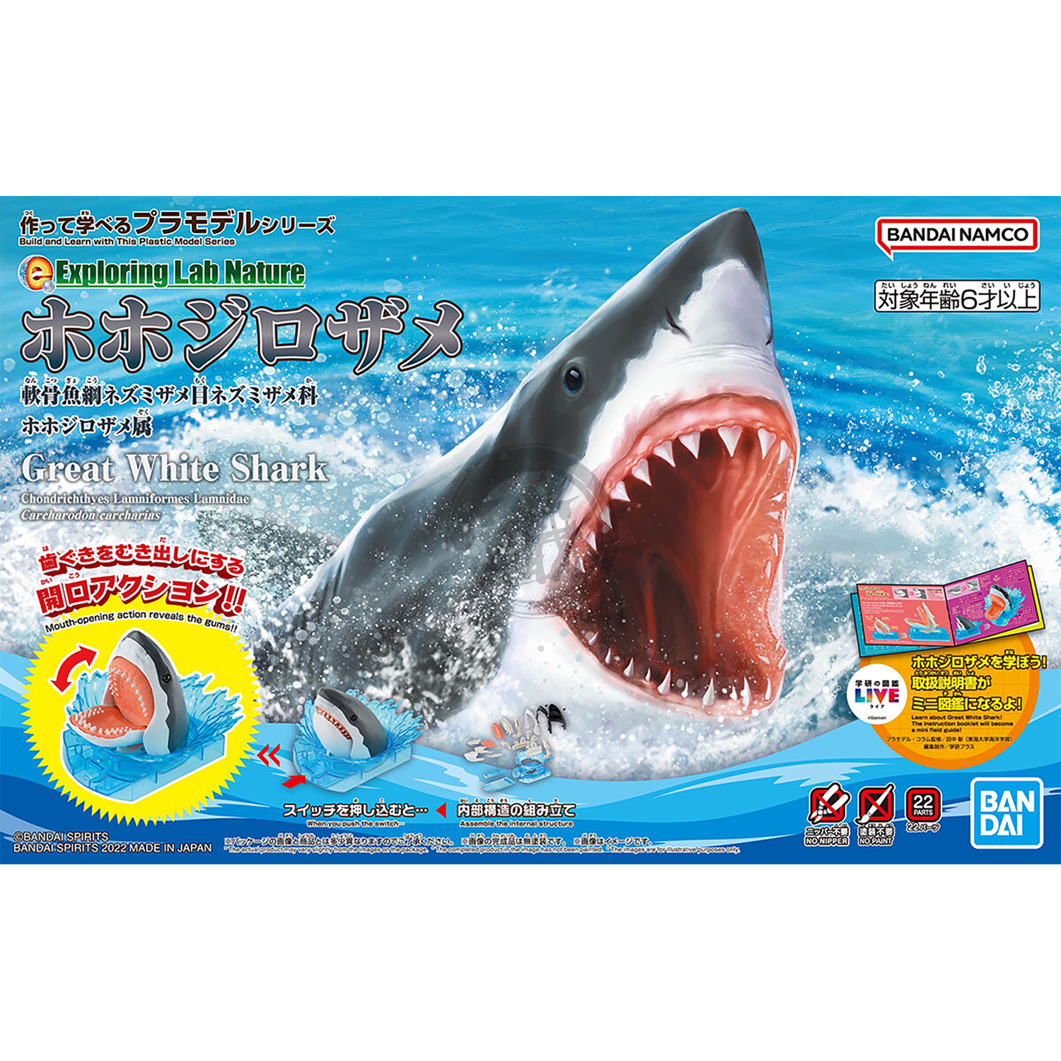 Exploring Lab Nature Great White Shark