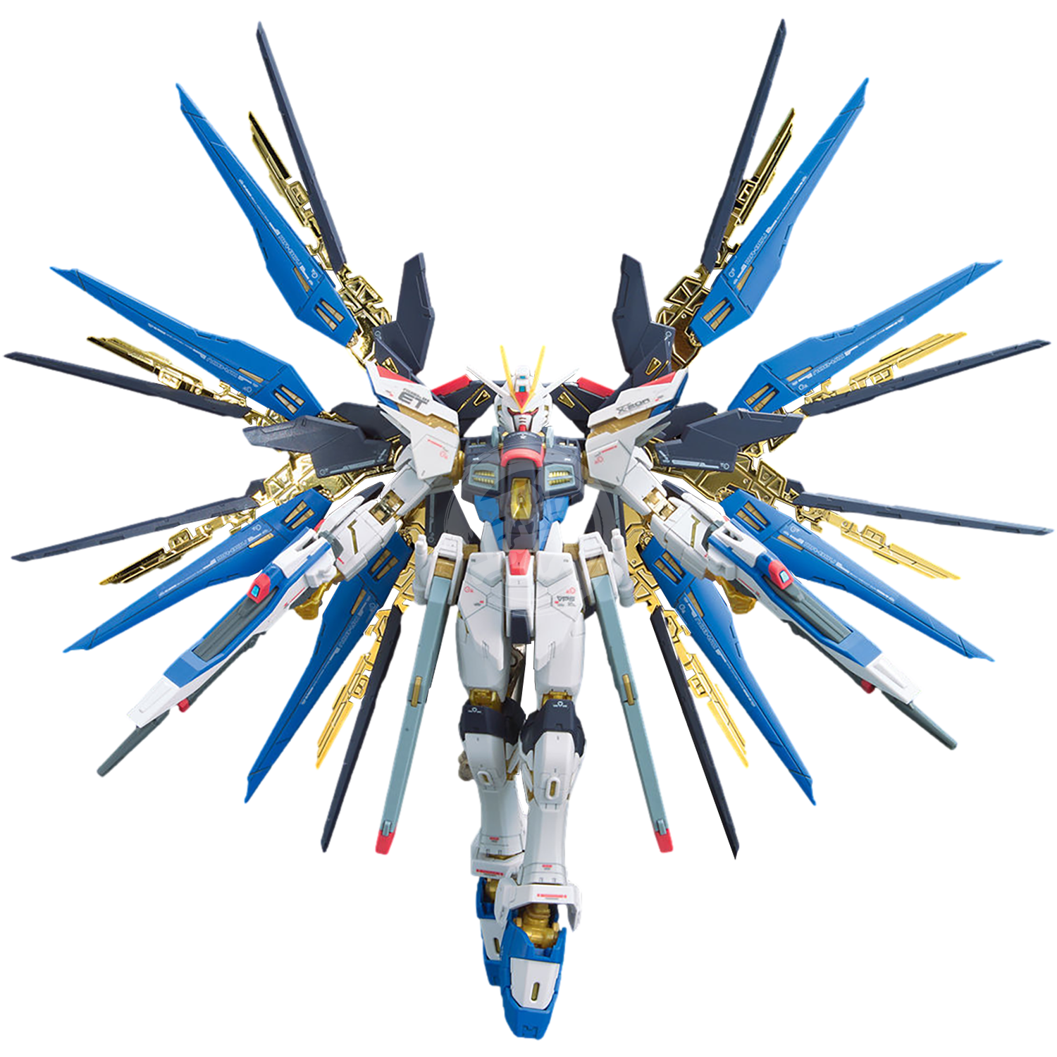RG Strike Freedom Gundam RG Strike Freedom Gundam