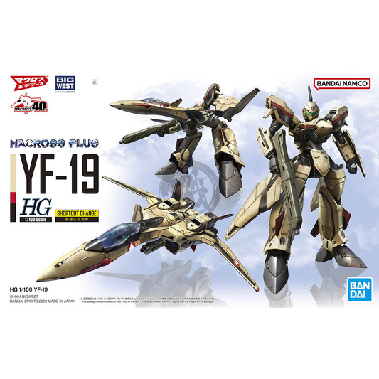HG YF-19 - ShokuninGunpla