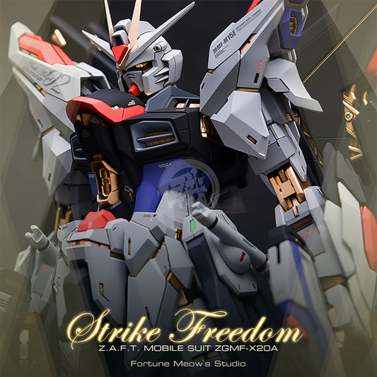 Fortune Meow Studio - MG Strike Freedom Resin Conversion Kit - ShokuninGunpla