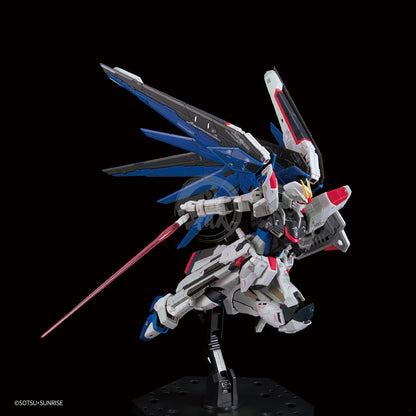 RG Freedom Gundam [Ver. GCP] - ShokuninGunpla